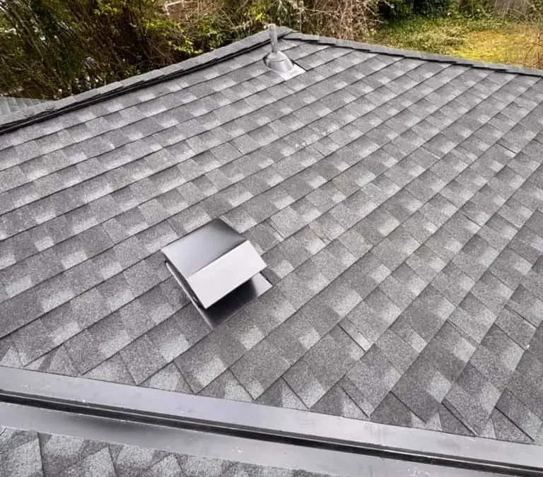 Top Benefits of Professional Roof Maintenance for Homes